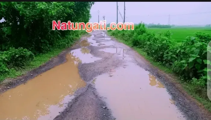 বাঁধের রাস্তায় জমছে বৃষ্টির জল